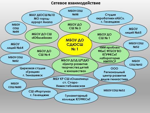 Трехуровневая структура сети МБОУ ДО СДЮСШ №1